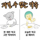 점핑랜드 이미지
