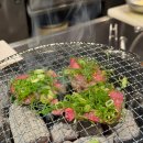 소파소굿(SoFarSoGood | [일본/오사카] 도톤보리 난바 근처 맛집 야키니쿠 마루 신사이바시