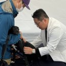 하스펫탈동물병원 이미지