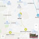 은행나무약국 이미지