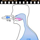 알케이 이미지
