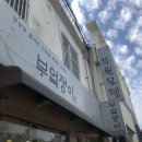 솥쟁이