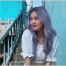 보라미미