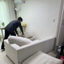 강아지본부 | 청주 율량동 소파청소ㅣ클린본부 홈케어ㅣ소파 오염 얼룩 청소 만족 후기