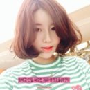 하리헤어 이미지