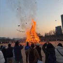 보나유치원 | 정월대보름 달집태우기 불꽃놀이 안양천 민속축제 방문 후기