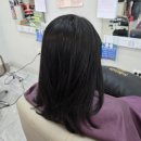 페이퍼커트 | 목포미용실 해피니언 남악점 커트 후기