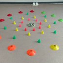 개와 집사의 시간 이미지