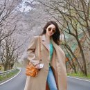 이브(EVE) 이미지
