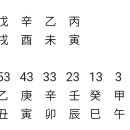 ●看法 500...왜 大運은 5년씩 分看하는것이 합리적인가? 이미지