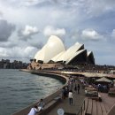 에그25 본마켓(Egg25 Bon Market) | 호주 맛집, 카페 추천 List🇦🇺