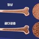 다인필라테스 - 평택시 현촌5길 5-20 | 다인필라테스