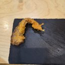 매송초 후문 앞 | 청주 오마카세 추천 | 가경동 오마카세 샤리 런치 후기