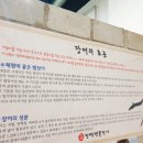진만민물장어 이미지