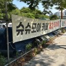 모아 | 포항 유럽 감성 대형 카페 슈슈모아 베이커리 주차 후기