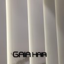 지성헤어크리닉 이미지