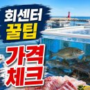 자연산회센타 | 강릉항 자연산 회센터 후기, 안목해변 코스에서 실패 줄이는 가격·주차·이용법