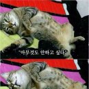 누군가에게 이미지