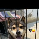 판암근린공원 이미지