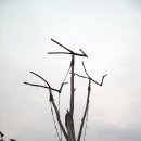 왓다민박 이미지