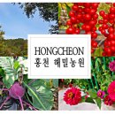 오대산영농조합법인 이미지
