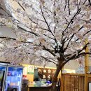 목포세꼬시 회 스시다네 이미지