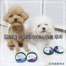 펫마트 강아지 논산점 | 강아지 여름 간식 추천 │ 도러블 펫 아이스크림 후기