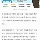 비바플렉스 이미지