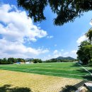 부주산족구장 이미지