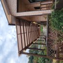 대산북로 이미지