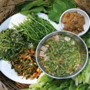 백아산 토종 이미지