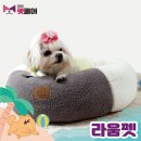 라움펫 이미지