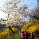 고운발사랑