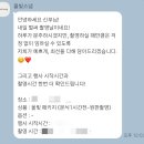 올빛 | 본식 아이폰스냅:올빛스냅(본식후기)