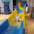 웰리힐리 워터플래닛 직접방문 진짜후기(no 기자단)
