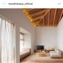 부디제주(스테이) 이미지