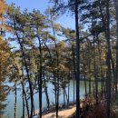 신세계부동산중개사무소 이미지