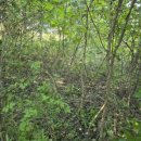 성읍리-4 이미지