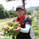 운수3리 Daum카페
