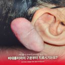 하라라성형외과의원 이미지