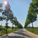 대부바다향기 테마파크 이미지