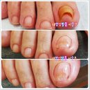 와우네일 이미지