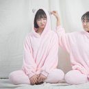 토리토리 이미지