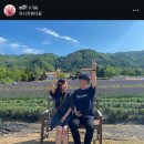 [강원도 고성] 고성 라벤더 축제🎊💜첫날 방문 후기 / 하늬라벤더팜🪻 / 25.06.05. 라벤더 개화 상황