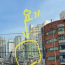 우성상가2층세탁소 이미지