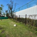 펫바스로 동탄 이미지