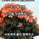 단풍 너를 보니... - 법정 스님- 이미지