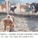 풍경게스트호텔