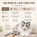 헤어참빗결