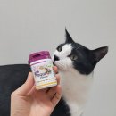 더펫샵(압량점) 이미지